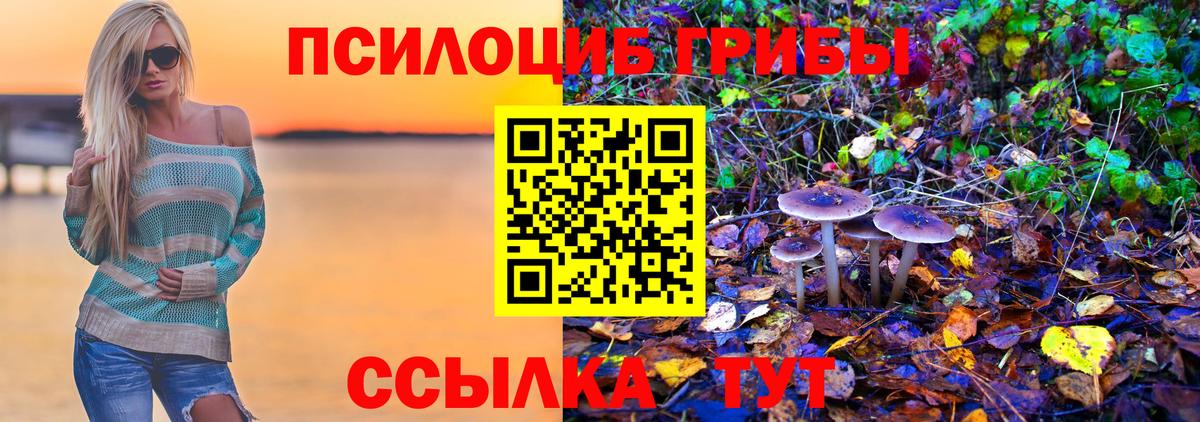 Нальчик  Галлюциногенные грибы Psilocybe  Вход с VPN 
