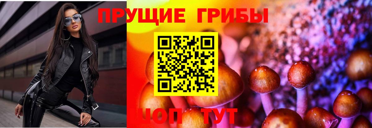 Псилоцибиновые грибы Magic Shrooms Нальчик